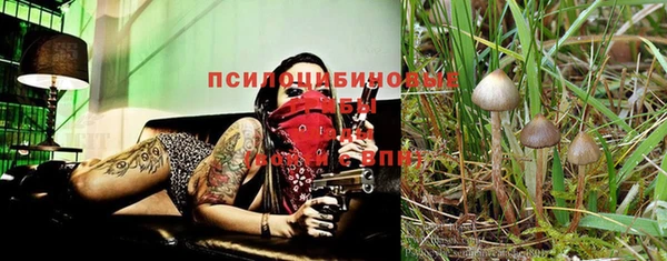 тгк Абаза
