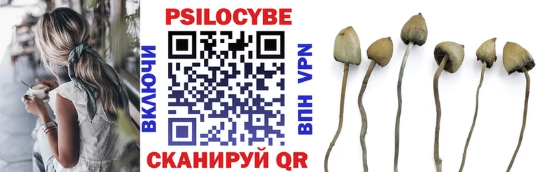 Галлюциногенные грибы Psilocybine cubensis  что такое наркотик  блэк спрут маркетплейс  Сокол 